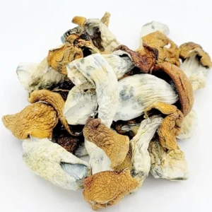 Tidal Wave Mushrooms – 10g